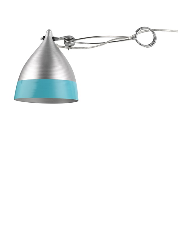 Lampe bicolor