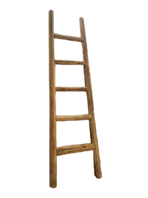 raw-elm-wood-ladder