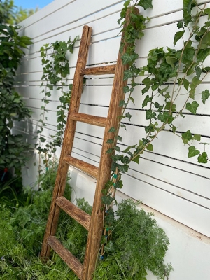 elm wood ladder